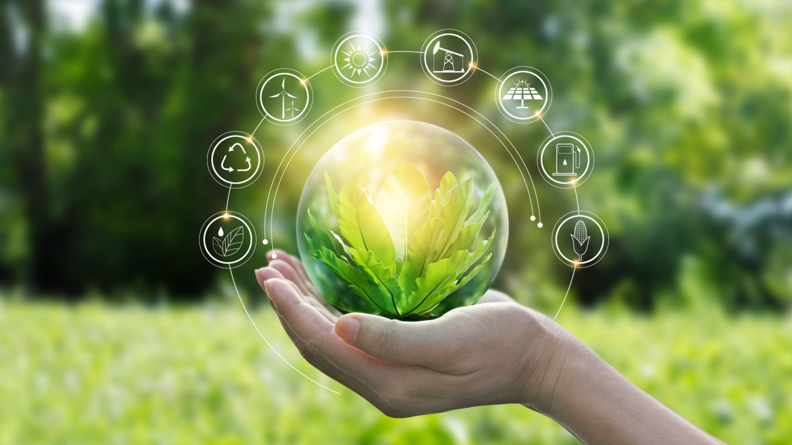 Hands,Protecting,Globe,Of,Green,Tree,On,Tropical,Nature,Summer