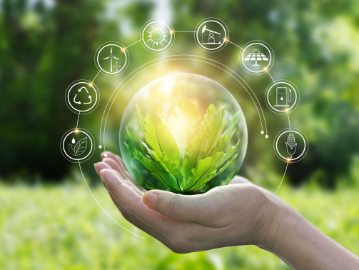 Hands,Protecting,Globe,Of,Green,Tree,On,Tropical,Nature,Summer
