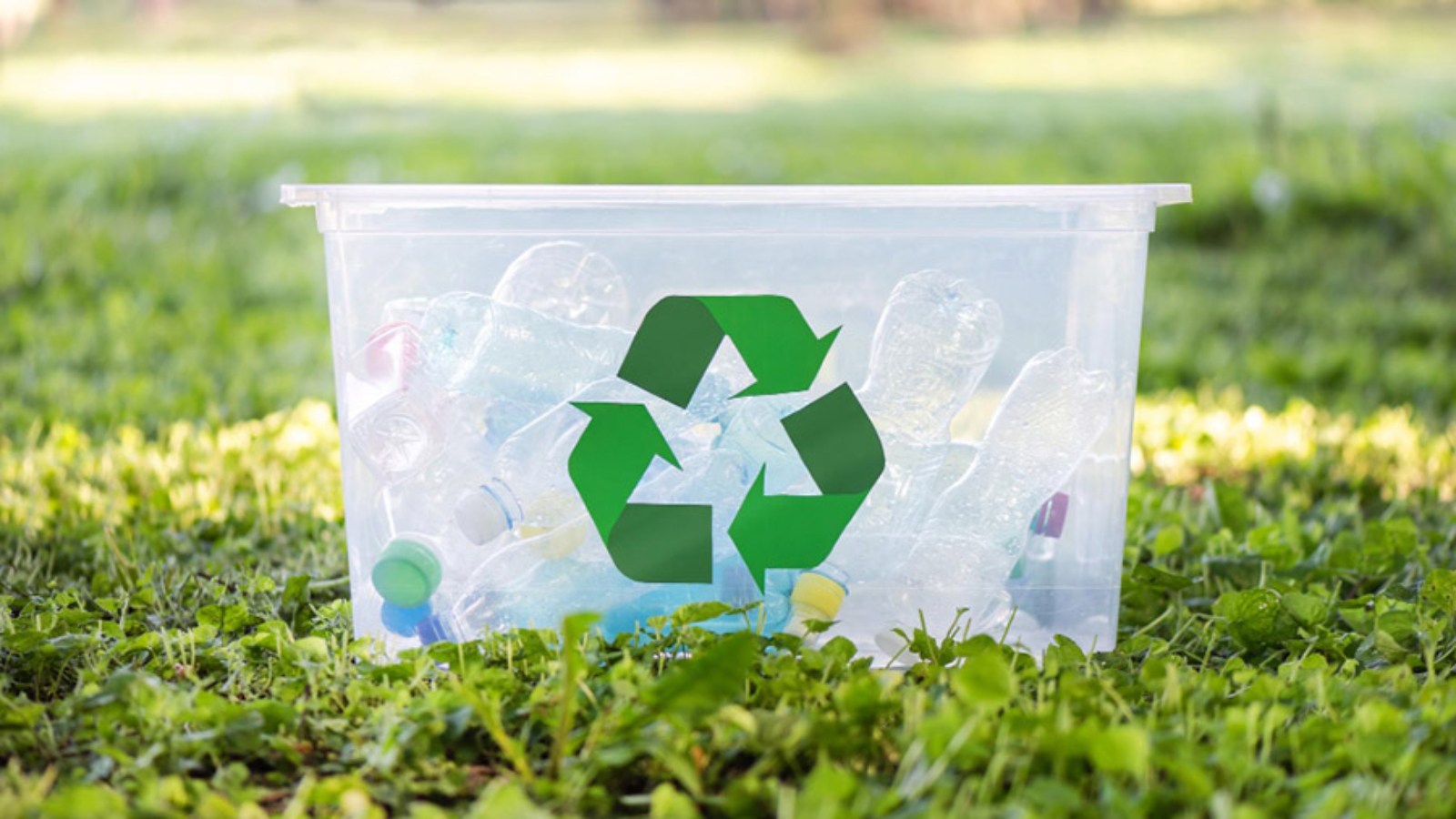 surdurulebilirlik-icin-geri-donusumun-onemi